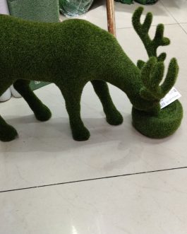 plants
